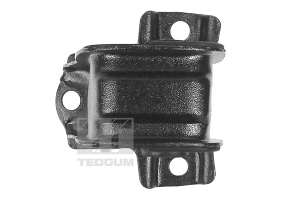 TEDGUM 00264856 Mounting, engine