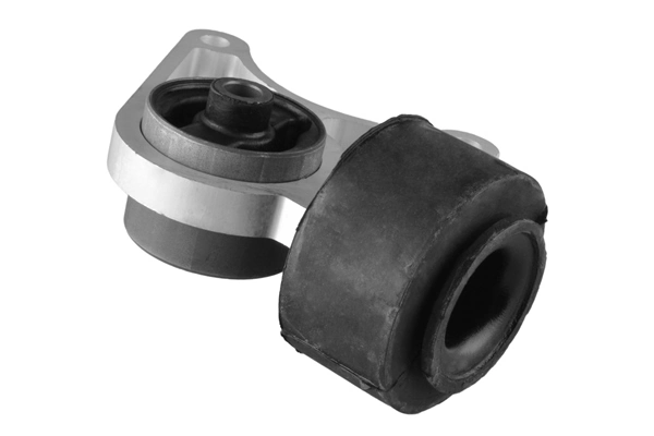 Mounting, differential 01164618