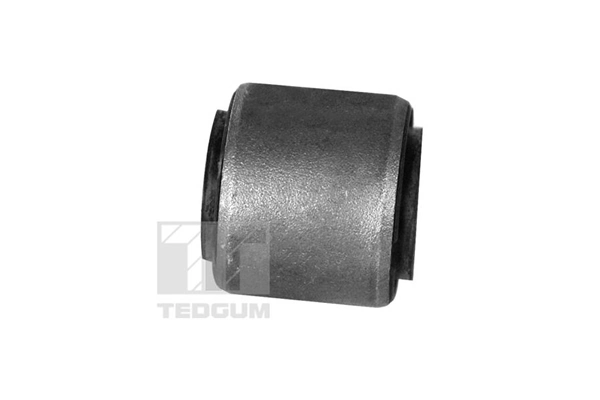 TEDGUM 00162141 Mounting, control/trailing arm
