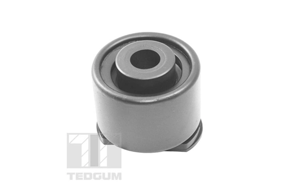 TEDGUM TED19271 Mounting, control/trailing arm