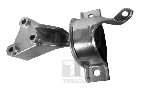 TEDGUM 00219179 Mounting, engine