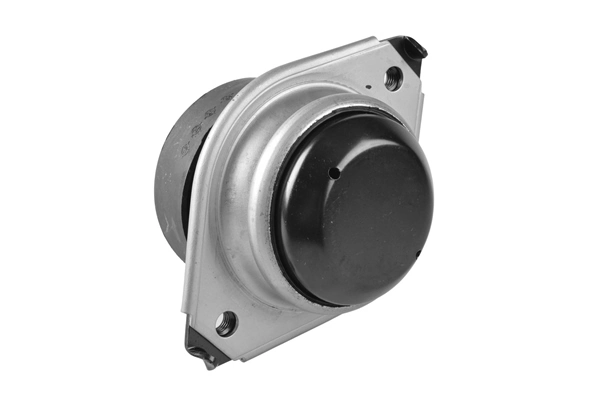 TEDGUM TED57243 Mounting, engine