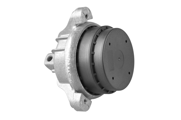 TEDGUM TED97460 Mounting, engine