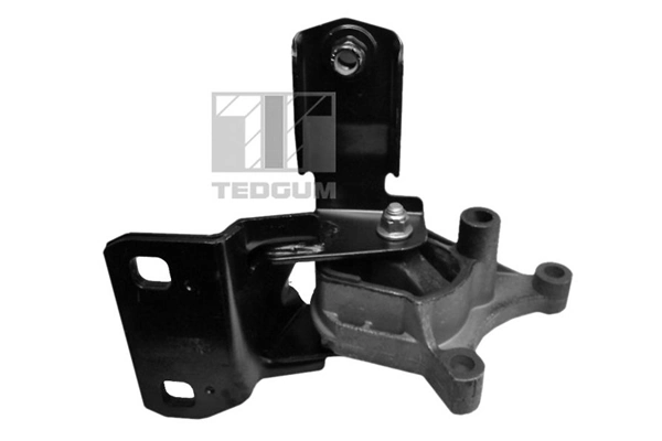 TEDGUM 00226621 Mounting, engine