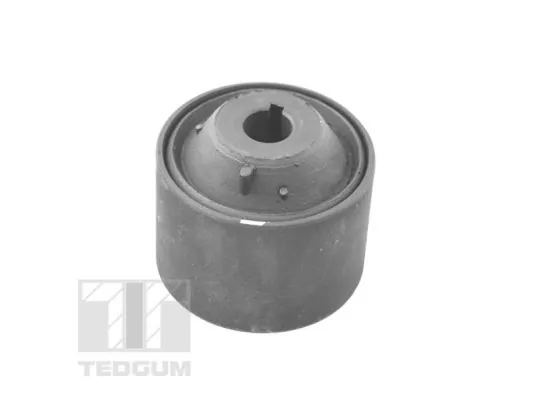 TEDGUM 00678954 Mounting, control/trailing arm