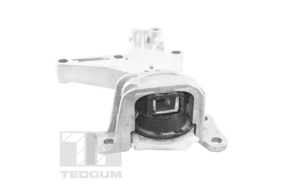 Mounting, engine TED61737