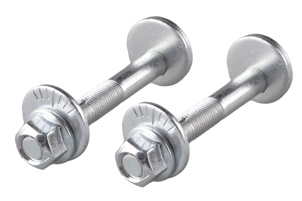 Camber Correction Screw TED24100