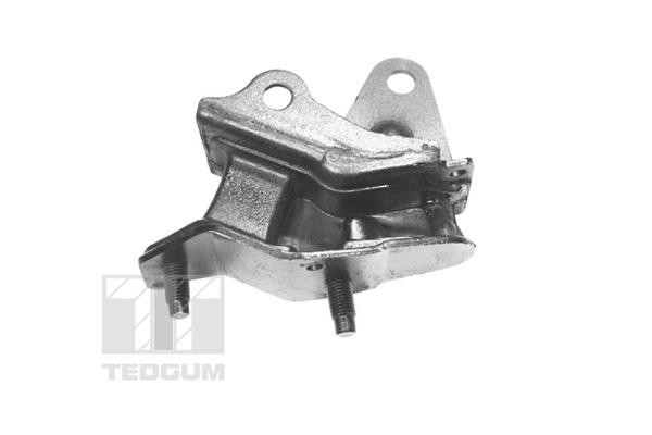 TEDGUM TED97156 Mounting, engine