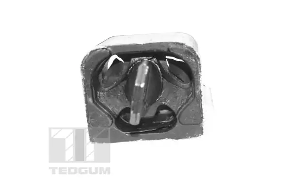 TEDGUM TED99764 Mounting, engine