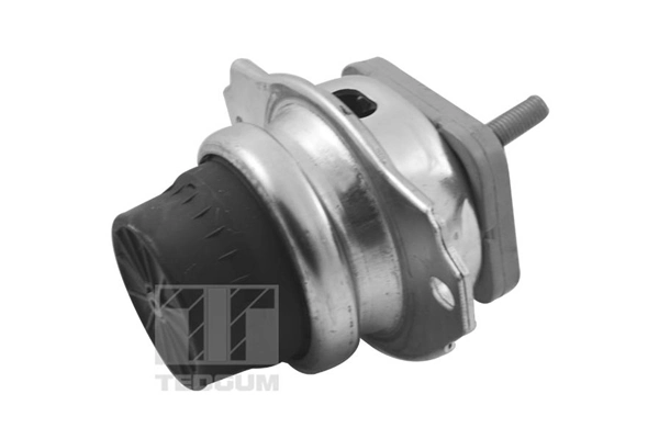 TEDGUM TED96746 Mounting, engine