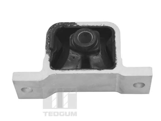 TEDGUM TED97529 Mounting, engine
