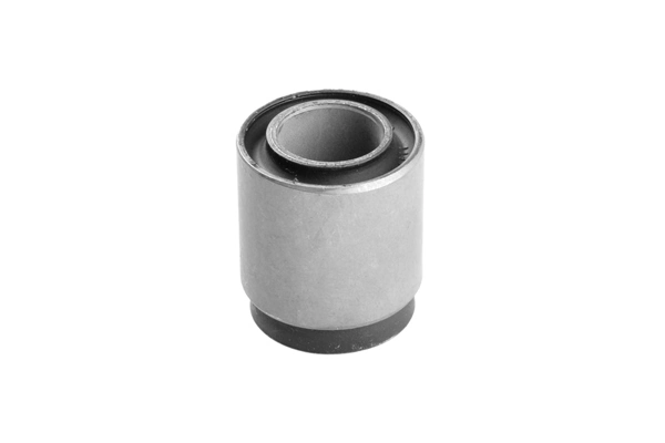 TEDGUM 00313884 Mounting, control/trailing arm