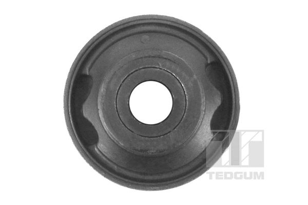 TEDGUM 00118099 Mounting, control/trailing arm