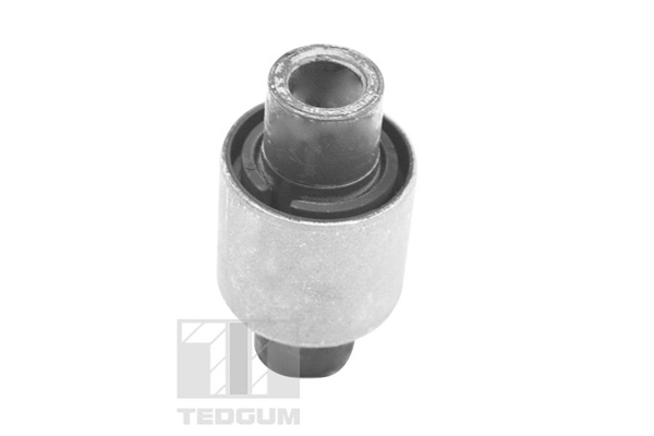 TEDGUM 00465281 Mounting, control/trailing arm