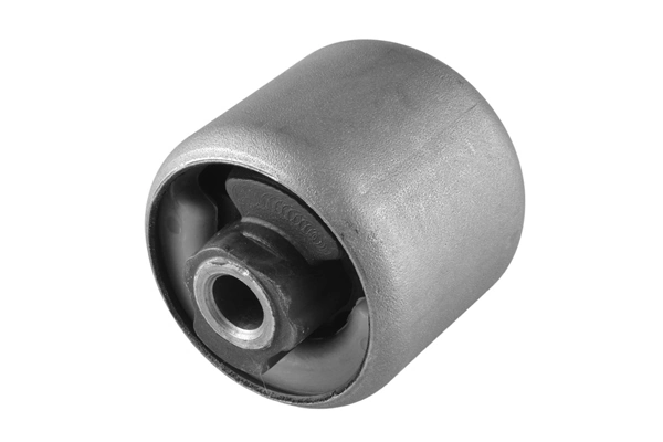 Mounting, control/trailing arm 00221065