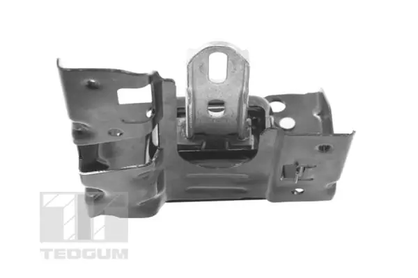 TEDGUM TED46367 Mounting, engine