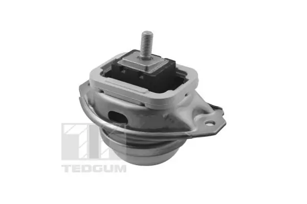 TEDGUM TED44341 Mounting, engine