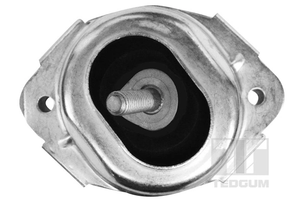 TEDGUM 00088531 Mounting, engine