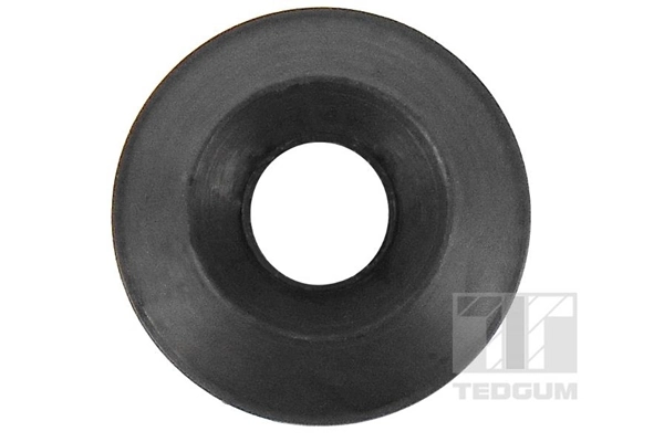 TEDGUM 00996880 Mounting, control/trailing arm