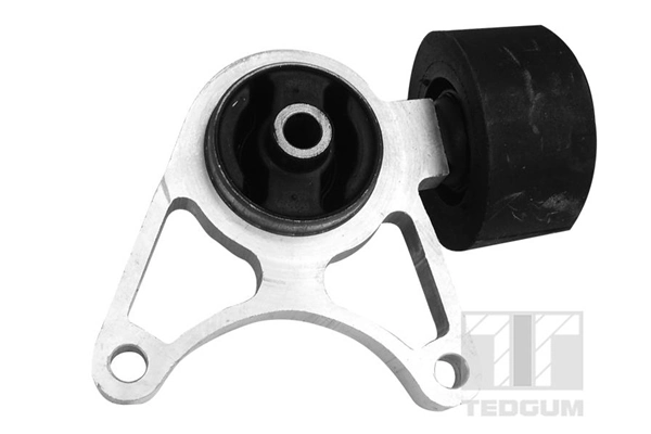 Mounting, differential 01164617