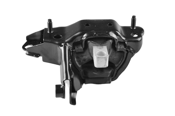 TEDGUM TED99919 Mounting, engine