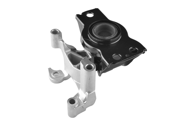 TEDGUM TED49619 Mounting, engine
