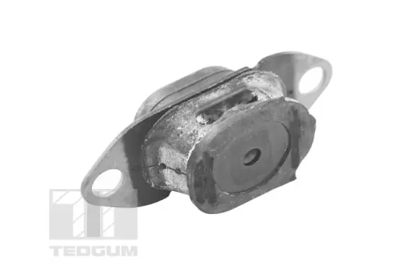 TEDGUM TED46913 Mounting, engine