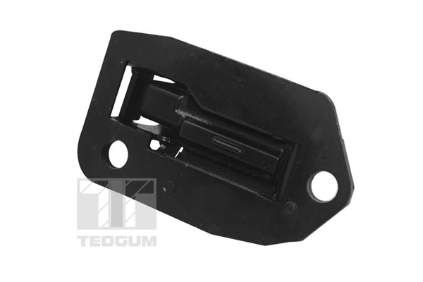 TEDGUM 00748055 Mounting, engine