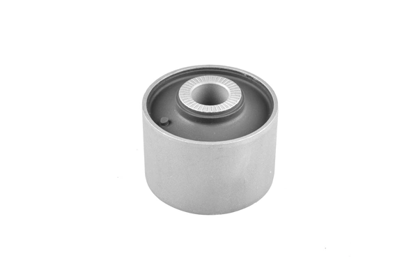 Mounting, control/trailing arm 00463313