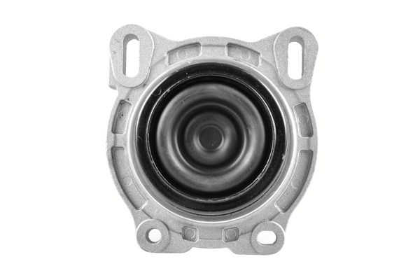 TEDGUM TED44719 Mounting, engine