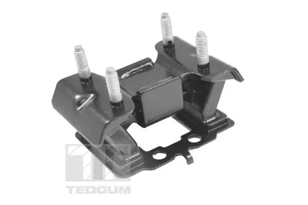 Mounting, engine TED99751
