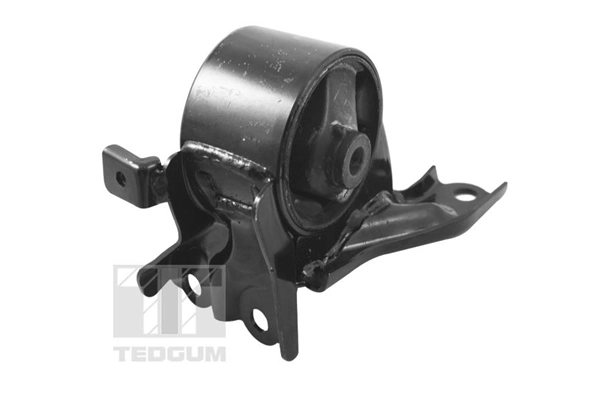 TEDGUM TED40055 Mounting, engine