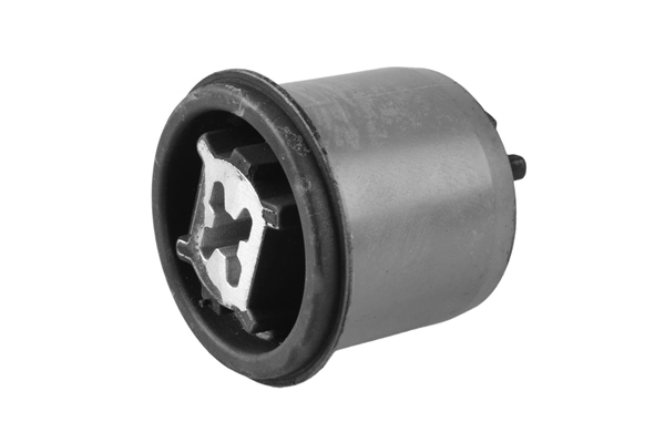 Bushing, axle beam TED39560