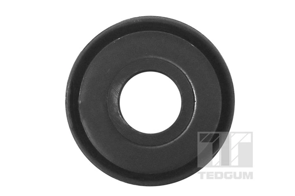 TEDGUM 00118098 Mounting, control/trailing arm