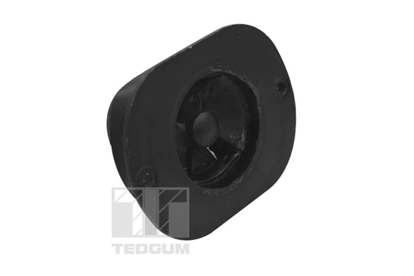 Mounting, engine TED40521