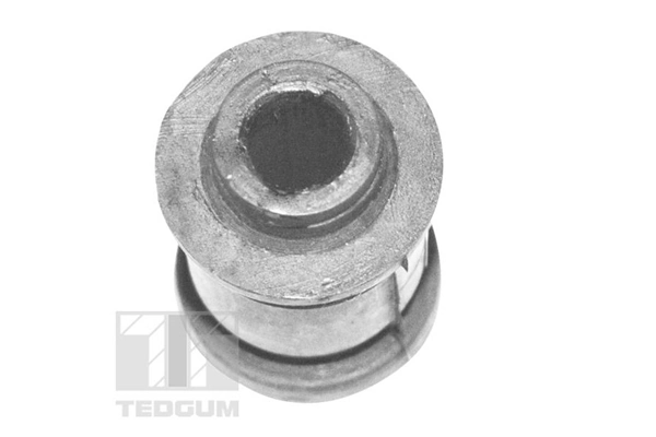 TEDGUM 00671840 Mounting, control/trailing arm