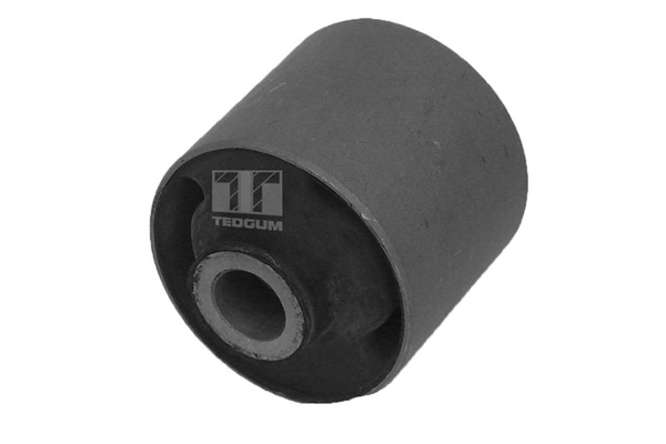 Mounting, control/trailing arm 00513844