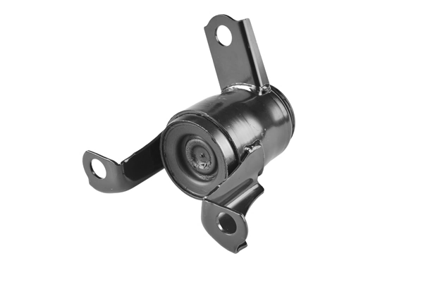 TEDGUM TED20173 Mounting, engine
