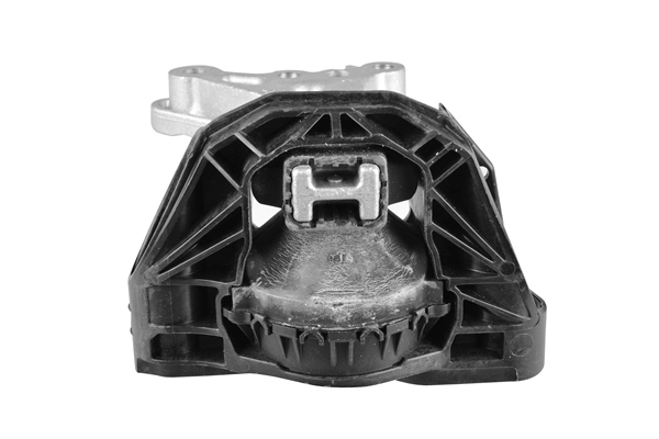TEDGUM TED36970 Mounting, engine