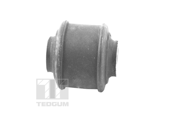 TEDGUM 00441683 Mounting, control/trailing arm