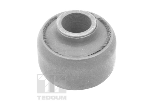 TEDGUM 00469449 Mounting, control/trailing arm