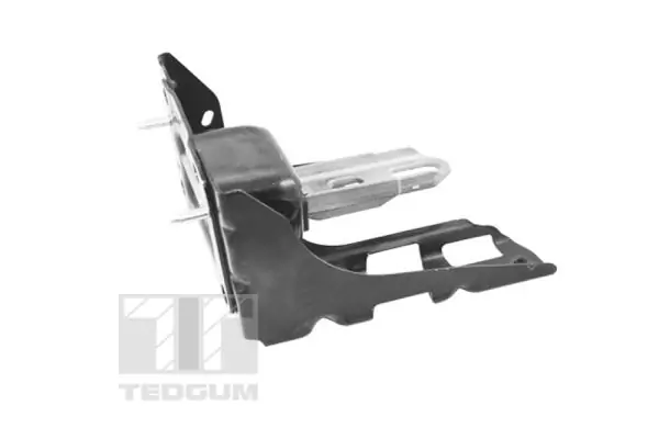 TEDGUM TED46367 Mounting, engine