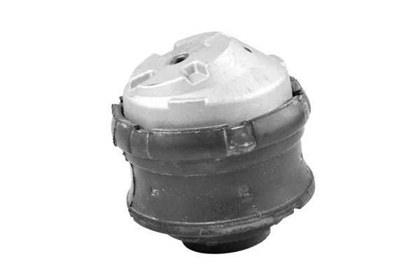 TEDGUM 00416461 Mounting, engine