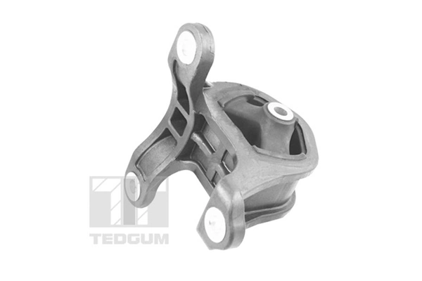 TEDGUM TED95218 Mounting, engine
