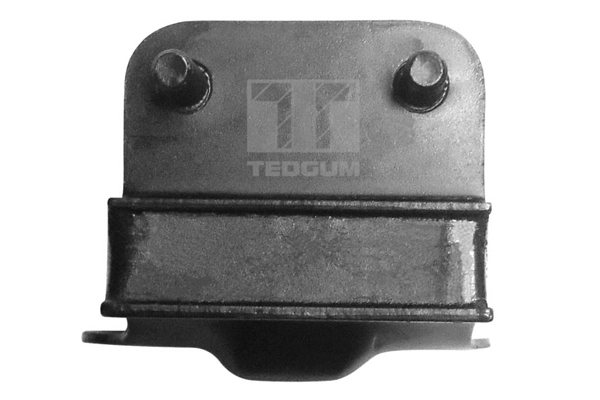 TEDGUM 00391655 Mounting, engine