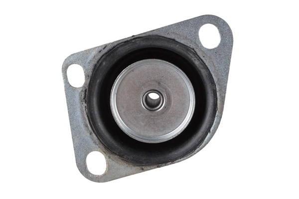 TEDGUM TED47058 Mounting, engine