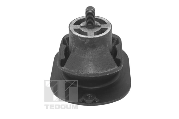 Mounting, engine TED40521