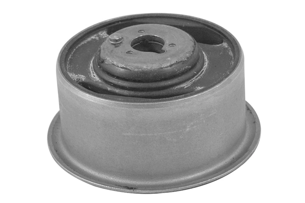 Mounting, differential TED75380