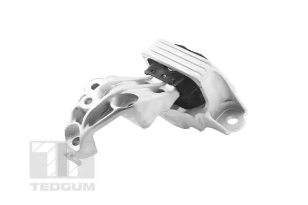 TEDGUM TED81471 Mounting, engine