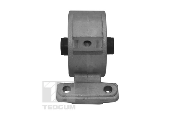 TEDGUM TED94977 Mounting, engine